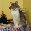 Отзыв от Нина Лазарева